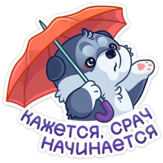 ☔️ 4f7cd1c9 КАЖЕТСЯ, СРАЧ НАЧИНАЕТСЯ Hund, Regenschirm, Russisch, Sticker, Meme, Cartoon telegram sticker