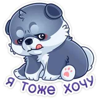 😋 7cf57b63 Я тоже хочу Hund, süß, Welpe, Aufkleber, will, russisch telegram sticker