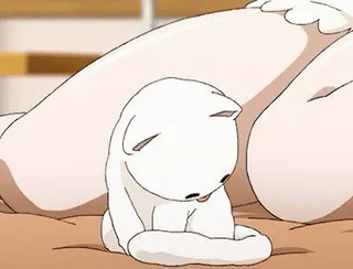 🌟 cb760bf9 kat, kitten, wit, schattig, dier, huisdier telegram sticker