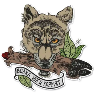 😒 d140e3bb ВОЛКА НОГИ КОРМЯТ loup, russe, texte, animal, phrase, dicton, proverbe telegram sticker
