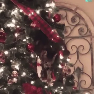 🌟 28eaa5c6 choinka, Boże Narodzenie, dekoracje, ozdoby, święta telegram sticker