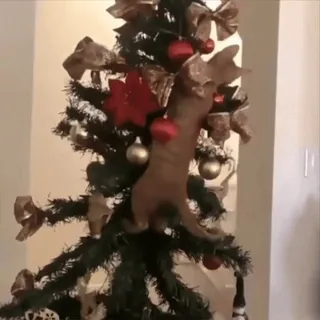 😥 713ea275 Choinka, Boże Narodzenie, Dekoracje, Święta telegram sticker