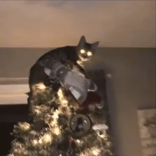 🎄 96ec250f kot, choinka, zwierzę, zwierzak, święto, dekoracja telegram sticker