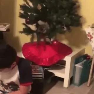 🌟 971a2f9a choinka, chłopiec, Boże Narodzenie, prezent, święta telegram sticker