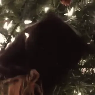 🌟 983c8d3f kot, choinka, zwierzę domowe, zwierzę, Boże Narodzenie, ozdoba telegram sticker