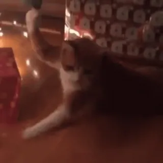 🌟 c6c42b21 kot, zwierzę domowe, Boże Narodzenie telegram sticker