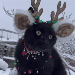 ❄️ e7da2c18 kot, renifer, boże narodzenie, zima, zwierzę, świąteczny, zwierzak, święto telegram sticker