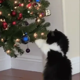 🎅 f228bced pies, choinka, szczeniak, ozdoby świąteczne, święta, świętowanie telegram sticker