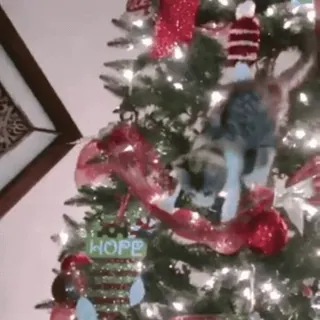😟 f9e11994 HOPE choinka, kot, ozdoby, święta, sezonowy, dekoracja, nadzieja telegram sticker