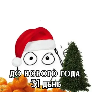 🎄 4ff9eab9 ДО НОВОГО ГОДА 31 день 새해, 크리스마스, 겨울, 귤, 밈, 12월 telegram sticker