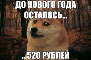 До нового года... @MoiStikiBot whatsapp stickers