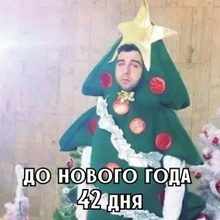 🎄 dd4df99e ДО НОВОГО ГОДА 42 ДНЯ 크리스마스, 새해, 휴일, 카운트다운, 트리, 웃긴 telegram sticker