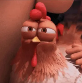 🐔 d358ccd7 卡通, 鸡, 搞笑, 动物 telegram sticker