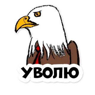 😡 69b06900 УВОЛЮ aigle, affaires, licenciement, oiseau, sérieux, costume whatsapp sticker