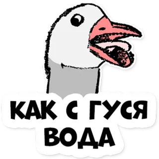 🤪 9a08aee6 КАК С ГУСЯ ВОДА oie, oiseau, russe, eau whatsapp sticker