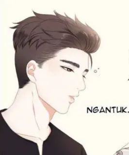 🐽 56119519 NGANTUK. อนิเมะ, มังงะ, ภาพเหมือน, ผู้ชาย, หล่อ telegram sticker