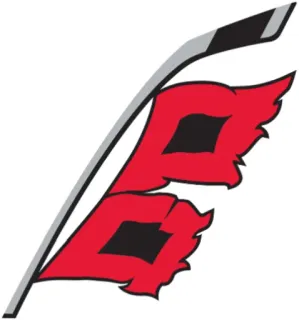 🌬 573bab96 hockey, sports, carolina hurricanes, hurricanes, nhl, ice hockey telegram sticker