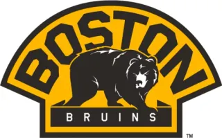 🐻 7b135421 BOSTON BRUINS sports, hockey, boston bruins, bruins, bear, animal telegram sticker