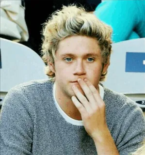 🥀 0f73bf5f Niall Horan Niall Horan, One Direction, chanteur, célébrité, musicien, pop star whatsapp sticker