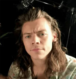 🥀 54ae861c Harry Styles harry styles, chanteur, portrait, célébrité whatsapp sticker