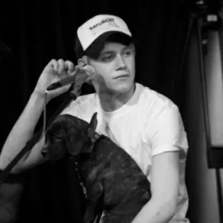 🥀 749ef8ae SATURDAY STEEL homme, chien, chapeau, chanteur, musique, portrait whatsapp sticker