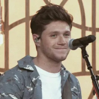 🥀 76e46ec3 Niall Horan Niall Horan, chanteur, musicien, One Direction, célébrité, pop star whatsapp sticker