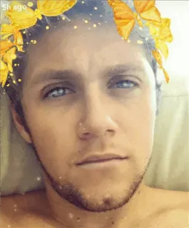 🥀 a5b3e0e8 Niall Horan 5h ago homme, papillon, portrait, visage, chanteur whatsapp sticker