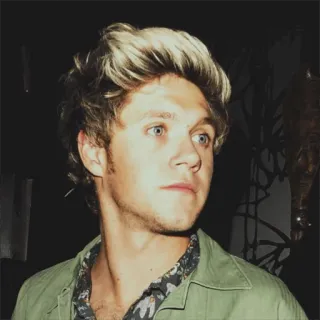 🥀 c9346508 Niall Horan Niall Horan, chanteur, célébrité, One Direction, pop star, musique, portrait whatsapp sticker
