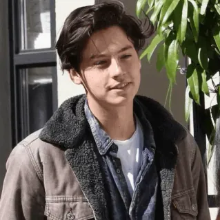 🌨 7cc72d4e đàn ông, chân dung, thường ngày, áo khoác, ngoài trời, thanh niên telegram sticker