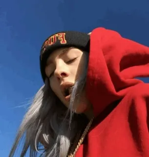 🥑 8abcdce0 Billie Eilish Billie Eilish, ca sĩ, người nổi tiếng, mũ, áo hoodie, âm nhạc telegram sticker