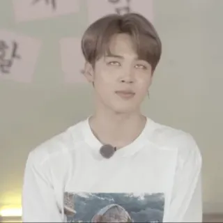 ➖ 3277dd09 Jimin kpop, jimin, bts, idol, divertente, meme whatsapp sticker