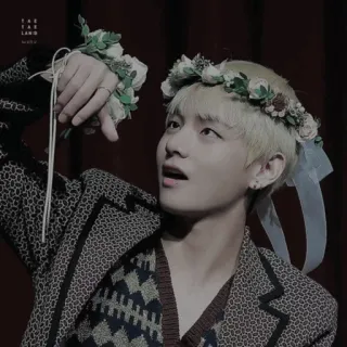 🍿 308e7c36 V kpop, 歌手, 花环, 偶像, 名人, 男人, v bts telegram sticker