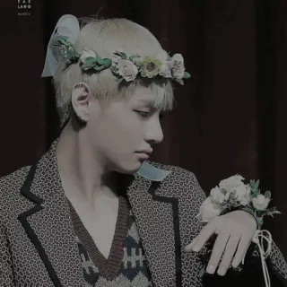 🍿 7d2b56bd TAE LAND 人物, 名人, 花环, 肖像, 男人, k-pop telegram sticker