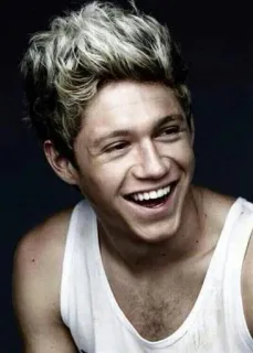 😄 04594c00 Niall Horan Niall Horan, ca sĩ, One Direction, chân dung, người nổi tiếng, nam whatsapp sticker