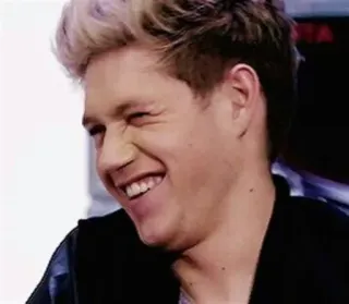 😹 0f325b13 Niall Horan người, ca sĩ, One Direction, người nổi tiếng, chân dung, cười whatsapp sticker