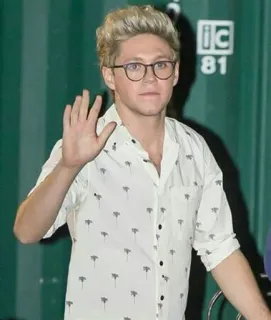 🖐 4bf767f6 Niall Horan Niall Horan, One Direction, ca sĩ, người nổi tiếng, chân dung whatsapp sticker
