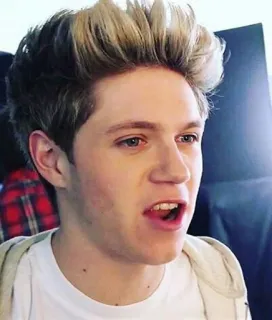 😒 aaa6eba0 Niall Horan Niall Horan, ca sĩ, nhạc pop, người nổi tiếng, One Direction whatsapp sticker