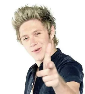 😉 c16d301c Niall Horan Niall Horan, One Direction, ca sĩ, người nổi tiếng, nhạc sĩ whatsapp sticker