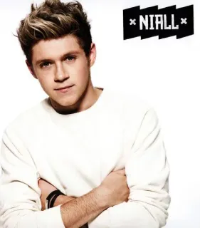 😐 22e0df69 Niall 奈尔·霍兰, 单向乐队, 歌手, 名人, 肖像 telegram sticker