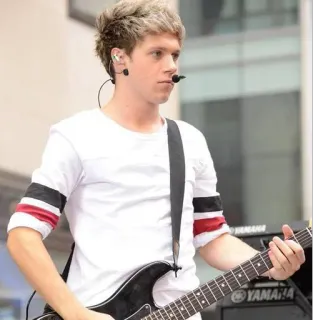 😳 6f965470 Niall Horan 音乐家, 歌手, 吉他, one direction telegram sticker