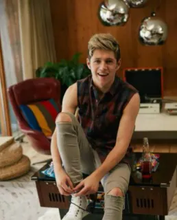 😃 a323b3b3 Niall Horan 歌手, 单向组合, 尼尔·霍拉, 名人, 人物, 流行歌星 telegram sticker