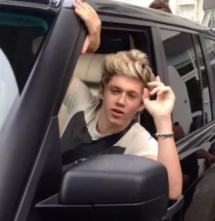 👀 c15020ac Niall Horan 尼尔·霍兰, 单向乐队, 名人, 歌手, 音乐家 telegram sticker