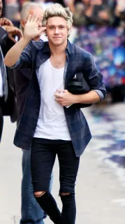 ✋ fdb68d8e Niall Horan 名人, 歌手, 音乐, 单向乐队, 流行明星, 尼尔·霍拉尼, 音乐家 telegram sticker