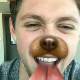 Nialler | by @badmileycyrus telegram stickers