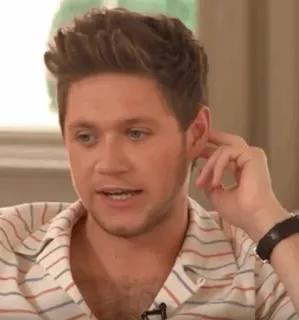 🎸 06ac466f Niall Horan người, ca sĩ, người nổi tiếng, chân dung, Niall Horan telegram sticker