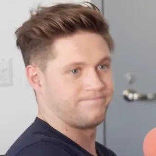 🎸 1bcf8122 Niall Horan niall horan, one direction, ca sĩ, người nổi tiếng, ngôi sao nhạc pop telegram sticker