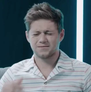 🎸 3184eb6d Niall Horan Nhạc sĩ, Người nổi tiếng, Người, Ca sĩ, One Direction telegram sticker