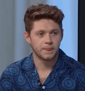 🎸 41eb62b3 Niall Horan người nổi tiếng, ca sĩ, nam, người, chân dung telegram sticker