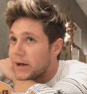 🎸 496d999f Niall Horan nhạc sĩ, ca sĩ, người nổi tiếng, Niall Horan telegram sticker