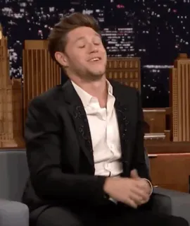 🎸 7a2eef4b Niall Horan nhạc sĩ, người nổi tiếng, talk show, Niall Horan telegram sticker